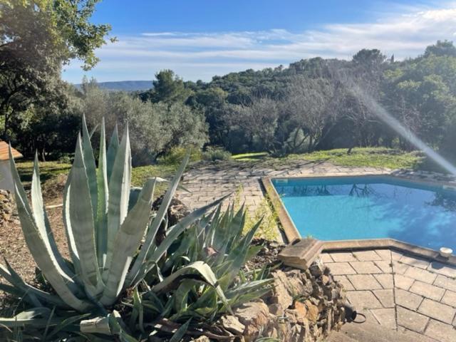 Les Terrasses Des Gardies Bed & Breakfast Pignan Luaran gambar