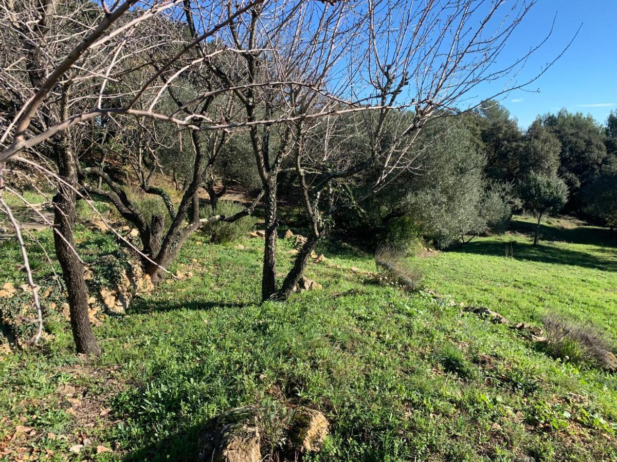 Les Terrasses Des Gardies Bed & Breakfast Pignan Luaran gambar